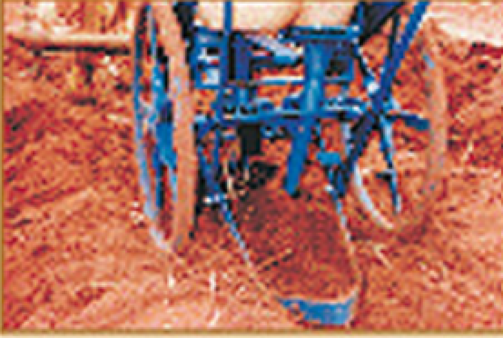 Imagem adicional 2 do item SEMEADEIRA E ADUBADEIRA